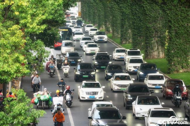 2025年(nián)12月7日，成都，高(gao)架橋下爬滿(man)碧綠的爬山(shan)虎。視覺中國(guo)