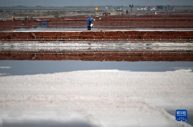 天津:千年(nian)鹽場迎豐(fēng)收