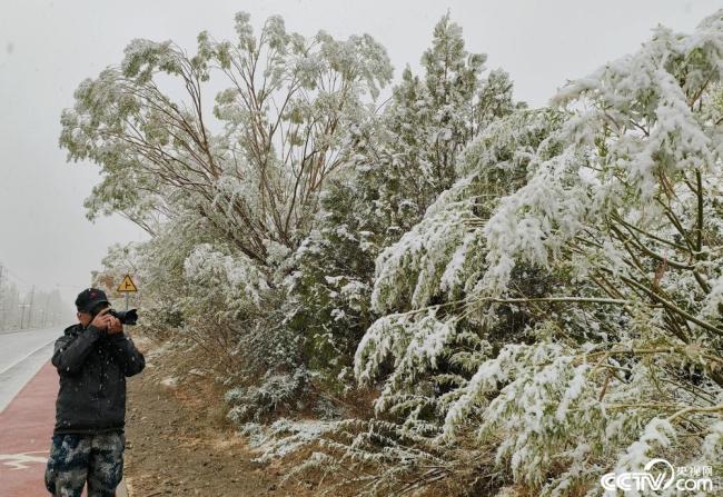甘肅酒泉(quan)：立夏飛雪
