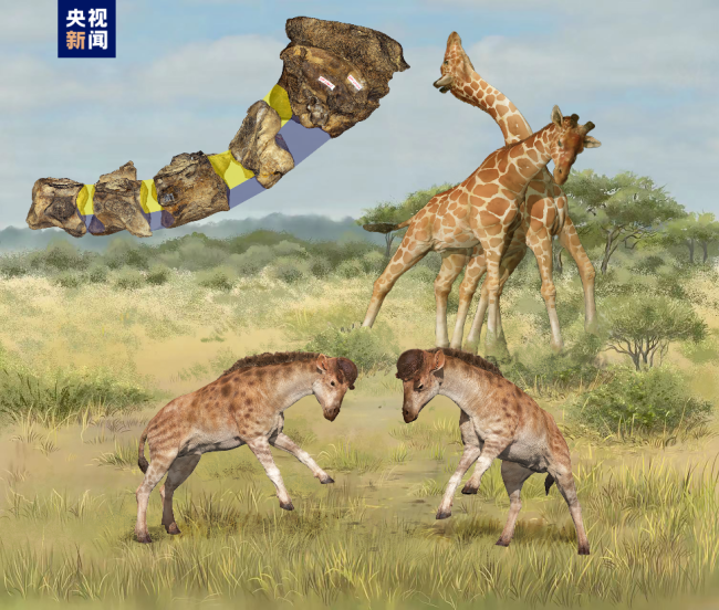 2022年度中(zhong)國古生(shēng)物學十(shí)大進展(zhǎn)發布