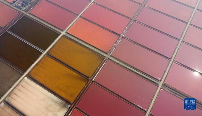 天津(jīn):千年鹽場(chang)迎豐收