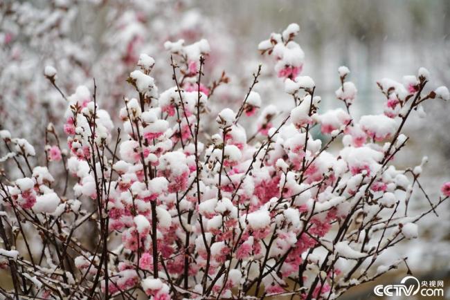 甘(gan)肅酒泉：立夏飛(fēi)雪